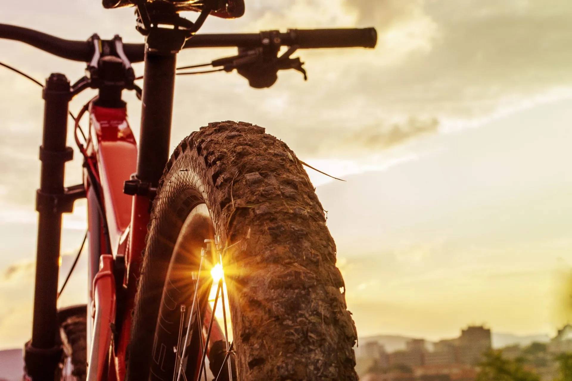 MTB