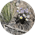 Lynn Cudlip's profile photo
