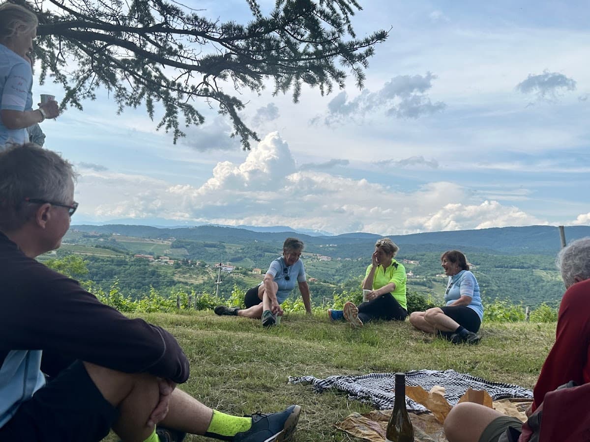 Group resting on grassy hillside overlooking rolling vineyards and distant mountains under cloudy sky.