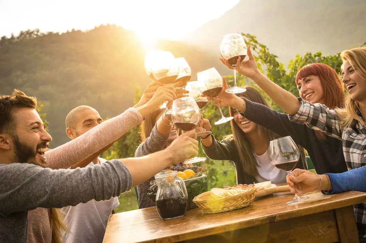 Friends toasting with red wine glasses outdoors with sun flare over Goriska Brda hills.