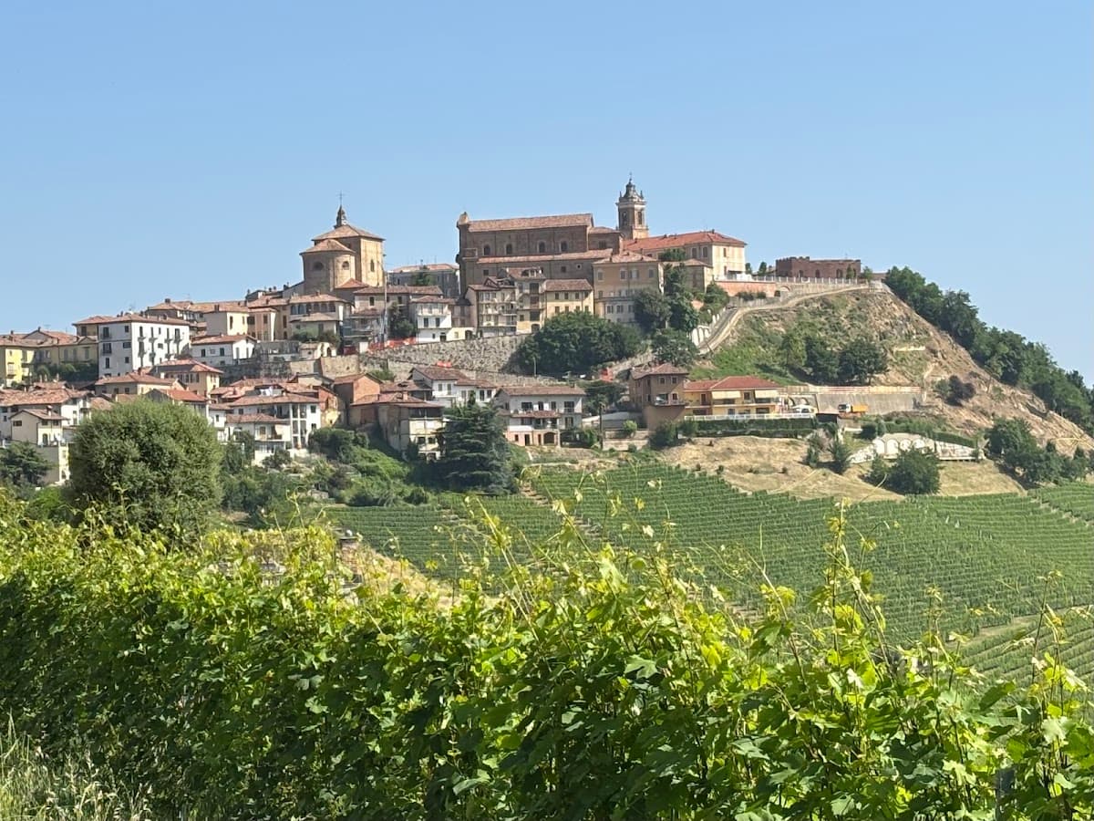 Hilltop town with terracotta roofs overlooking lush green vineyards under a clear blue sky.