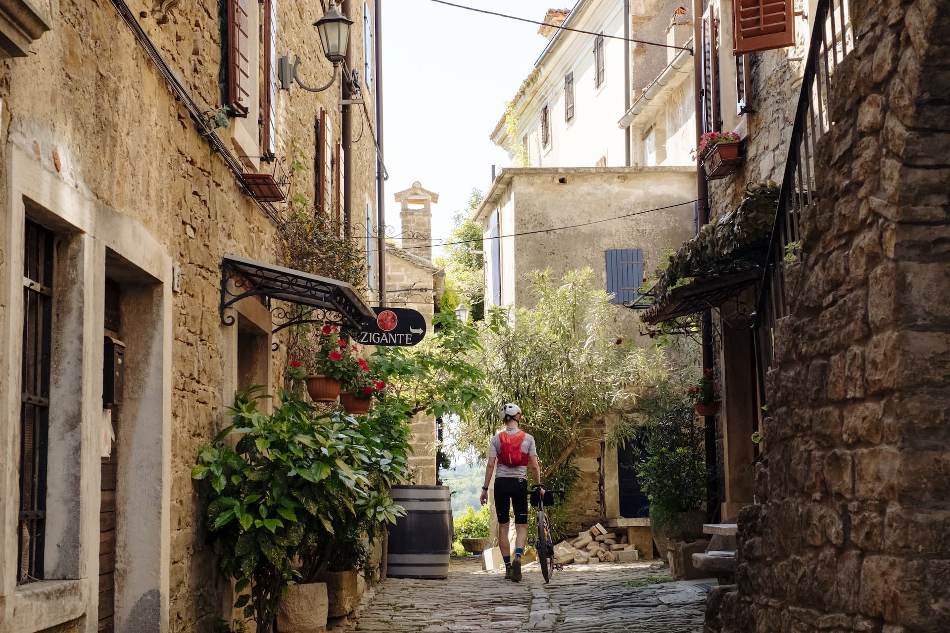 Cyclist walking with bicycle down cobblestone alley in Groznjan village