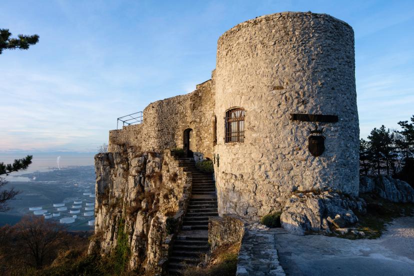 Socerb Castle image 1
