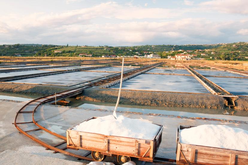 Sečovlje Saltpans image 1