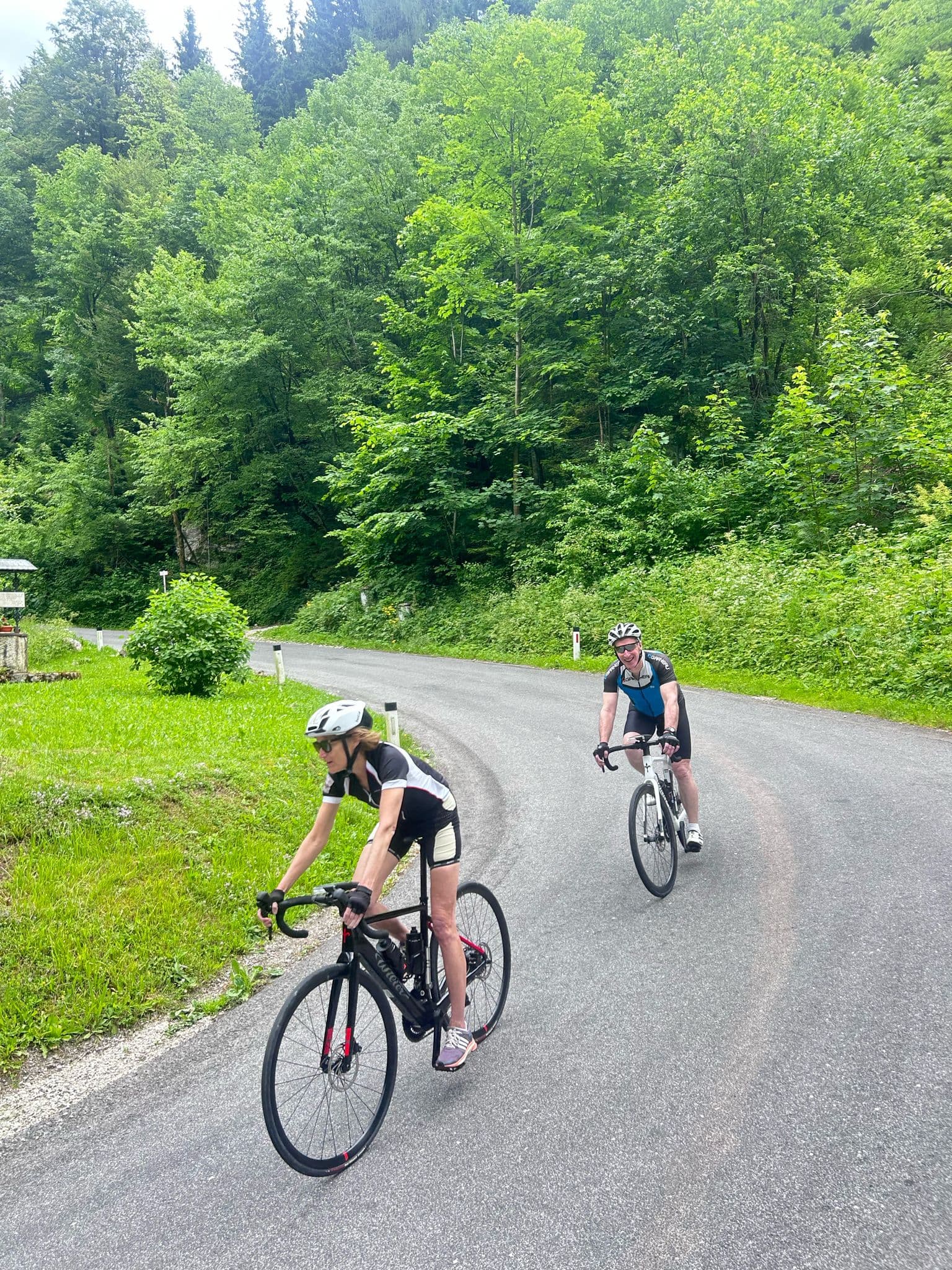 Cyclists riding road bikes on a paved road through a lush green forest setting