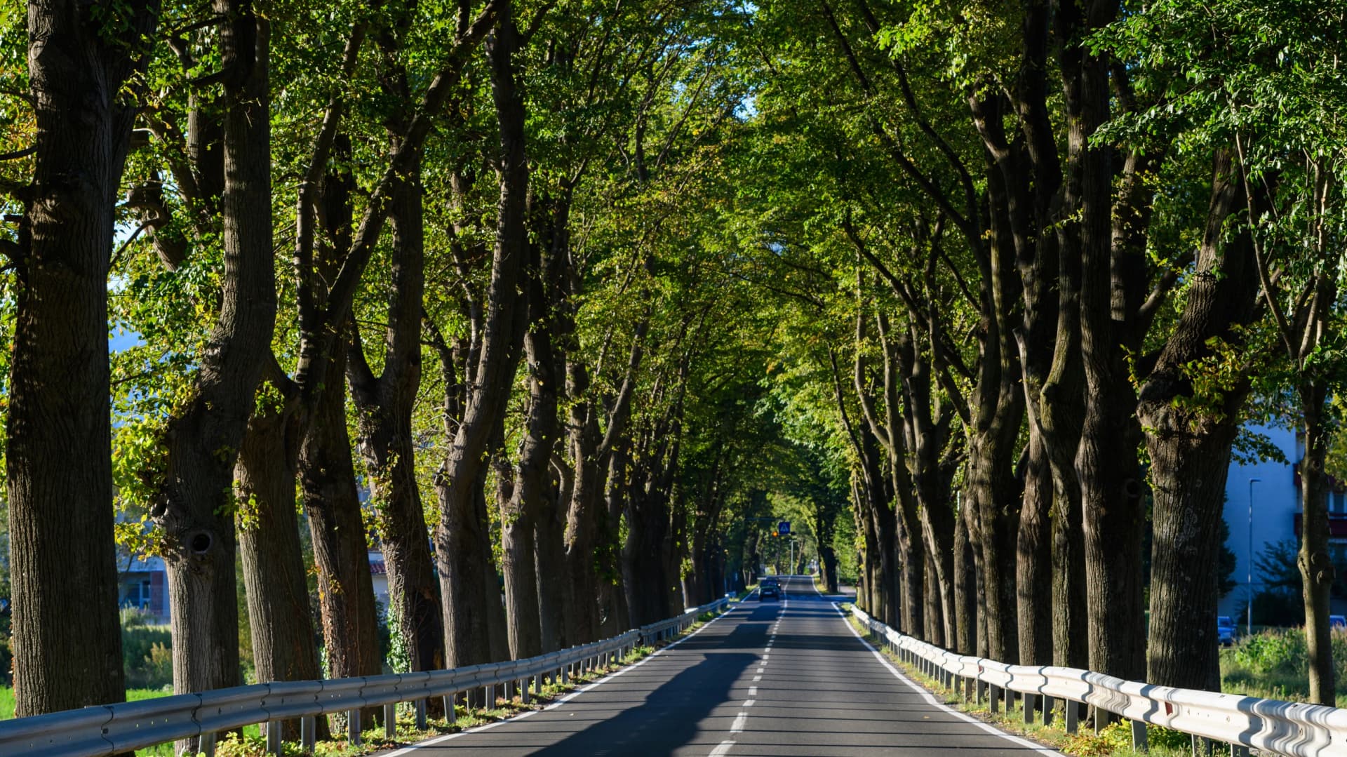 Vipara valley roads