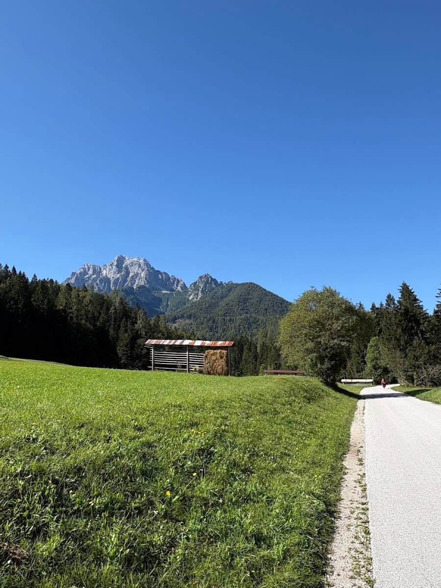 Green meadow with hay rack, paved road, and alpine mountain peaks under clear blue sky