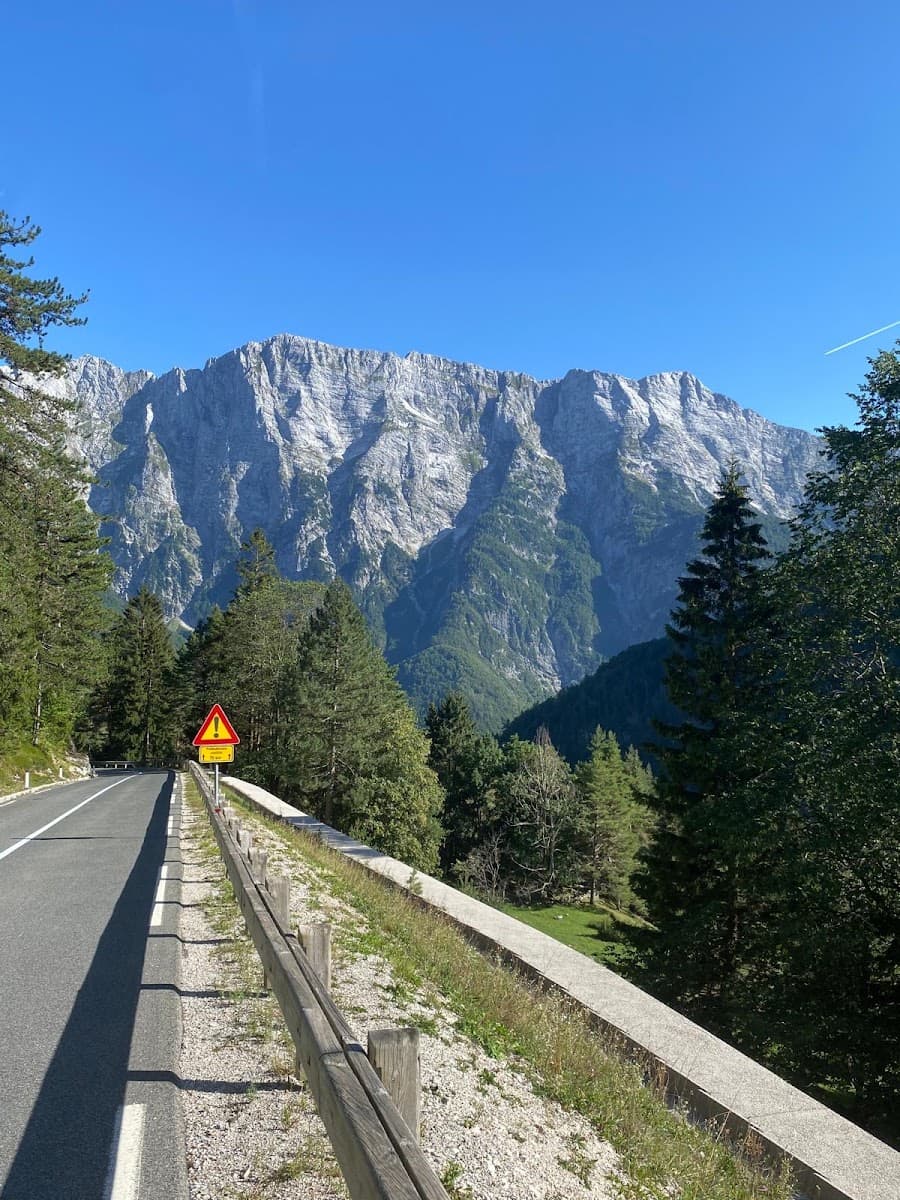 Road winding through a mountain pass with pine trees and rocky peaks under a blue sky