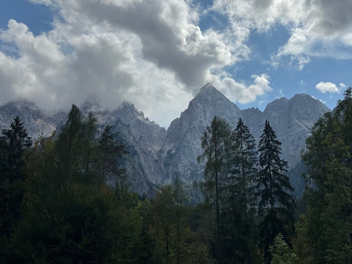 Rugged alpine mountain peaks behind pine forest under cloudy sky