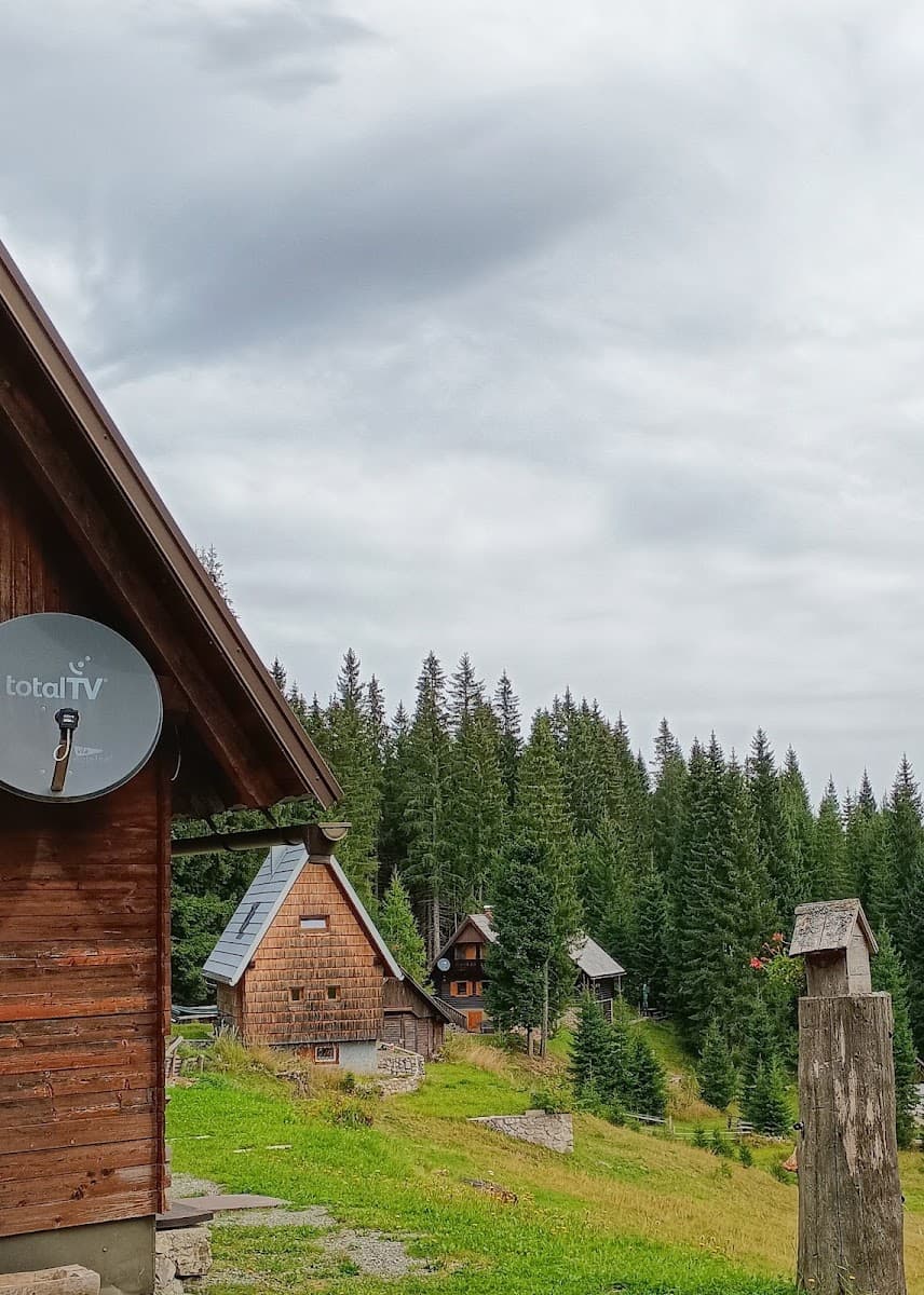 Wooden cabins and pine forest in a mountain landscape under an overcast sky