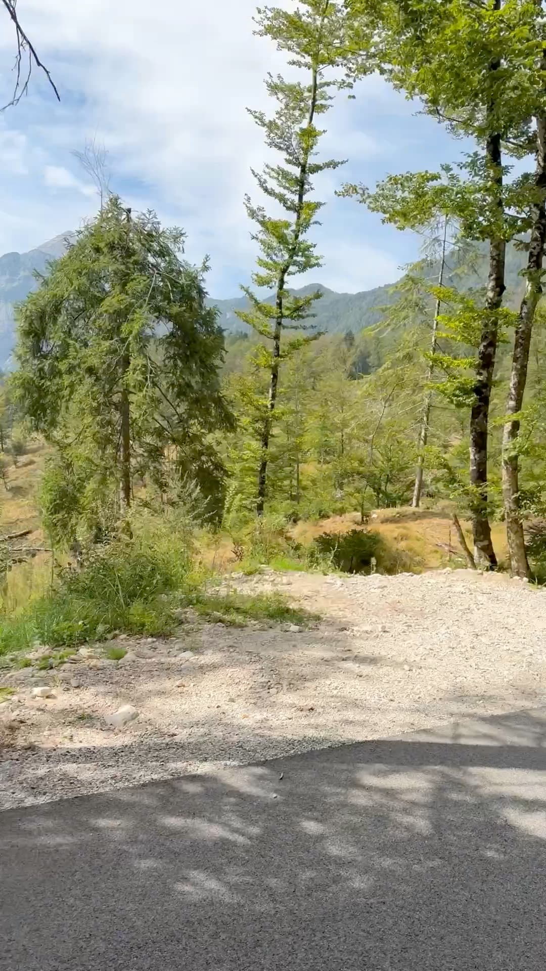 @cyclingholidays