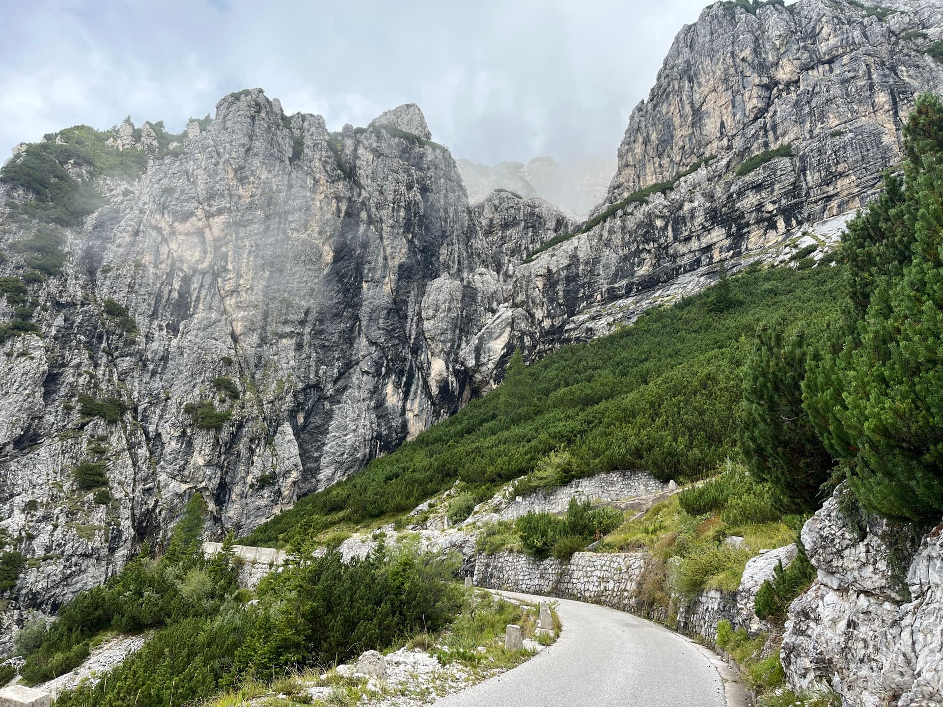 Winding mountain road below steep rocky limestone walls and green pine slopes