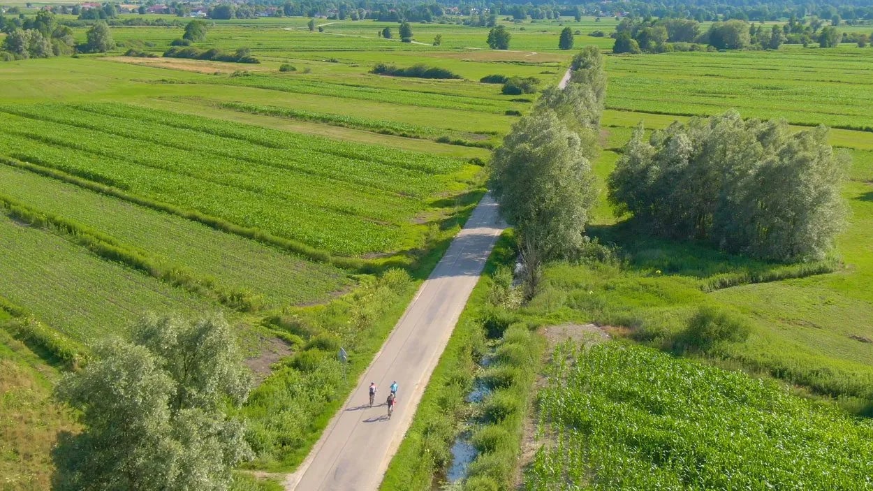 Cyclists riding on a road through lush green agricultural fields in the Ljubljana Marshes flatlands.