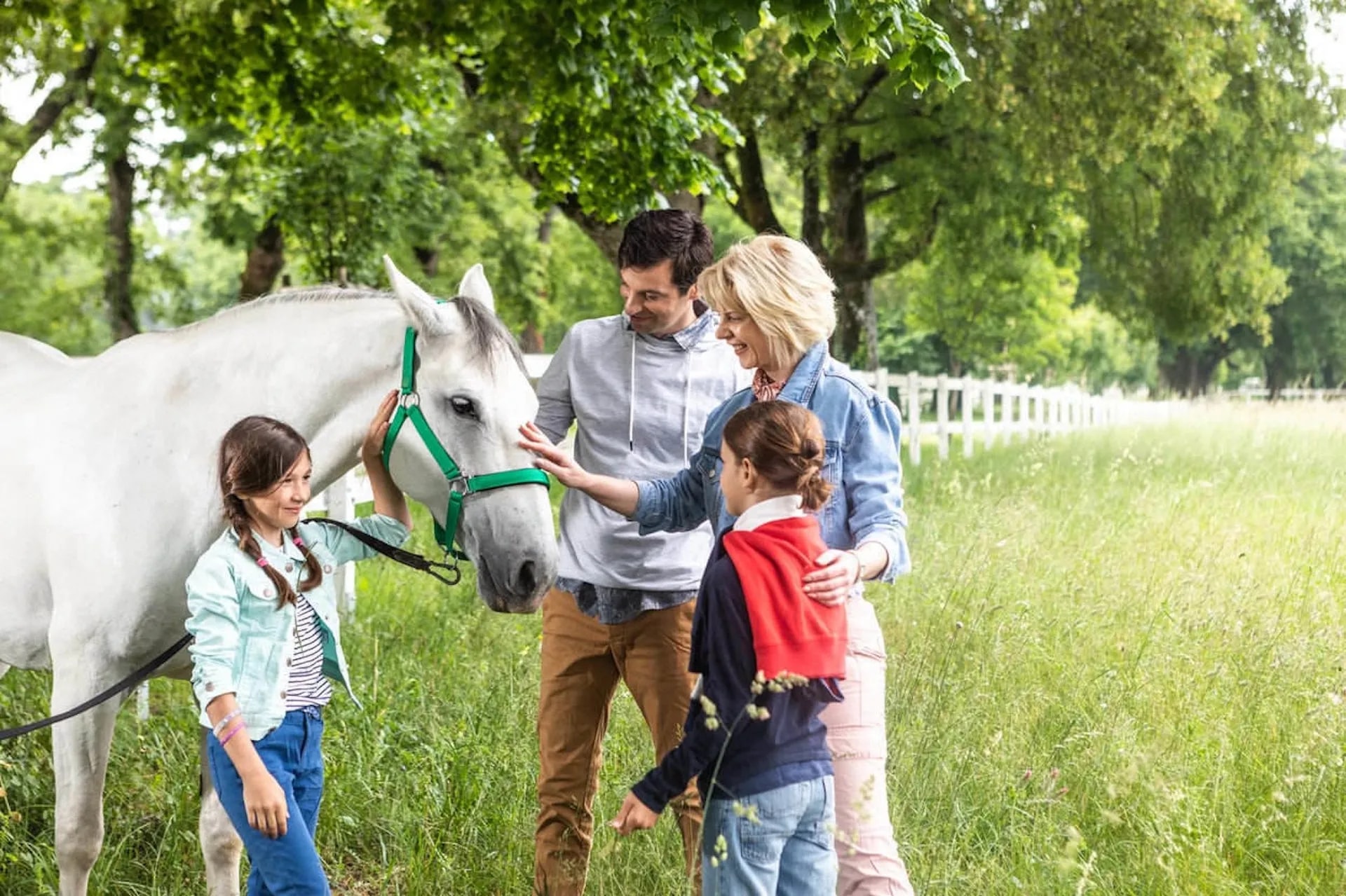 Lipica stud farm