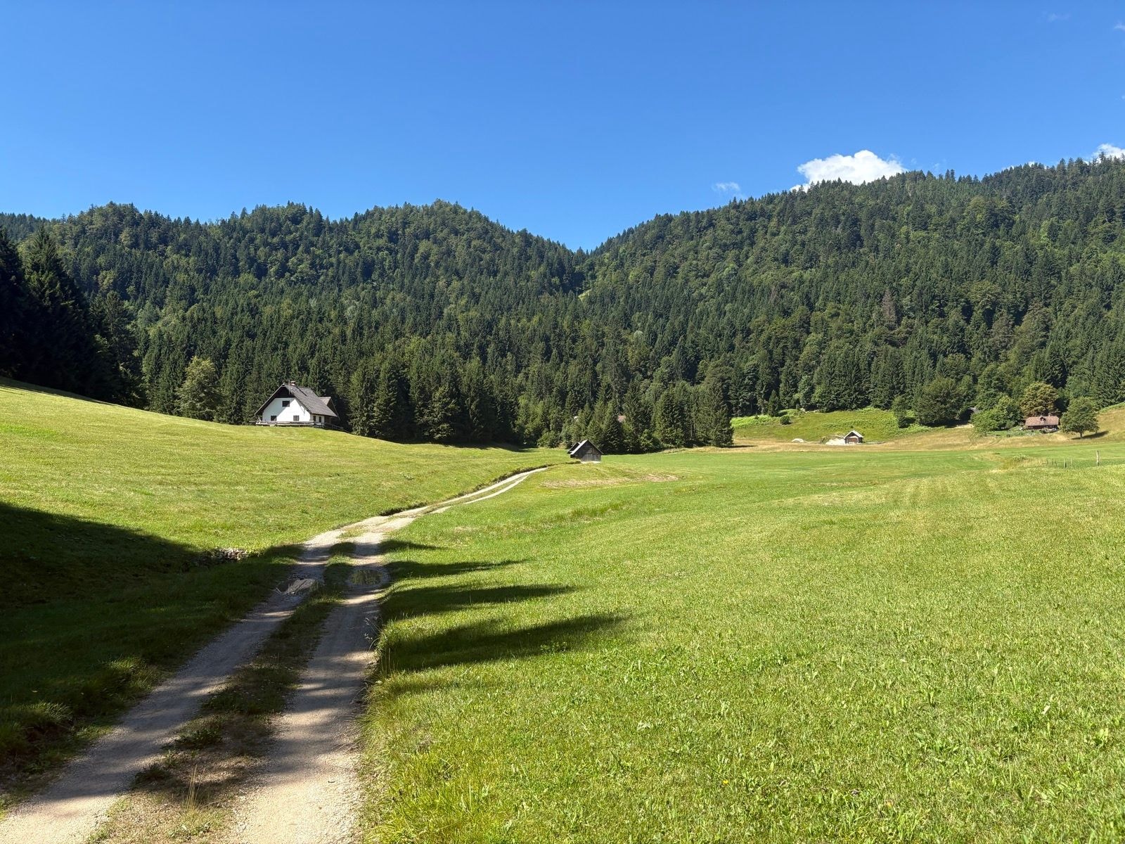 Day 5 image 2