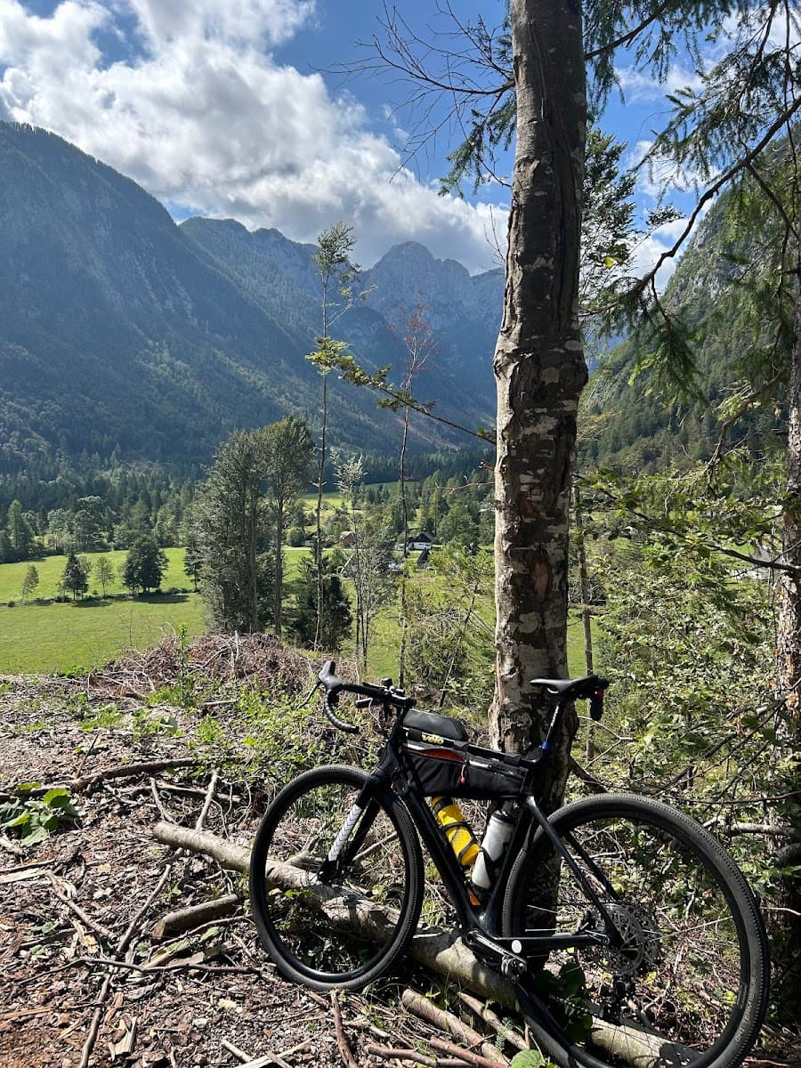Bicycle resting against tree with view of green valley and steep mountains