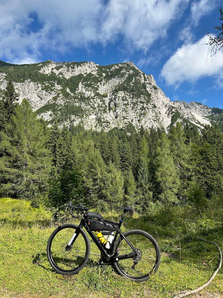 Gravel bike parked in grassy meadow below rocky mountain and dense pine forest