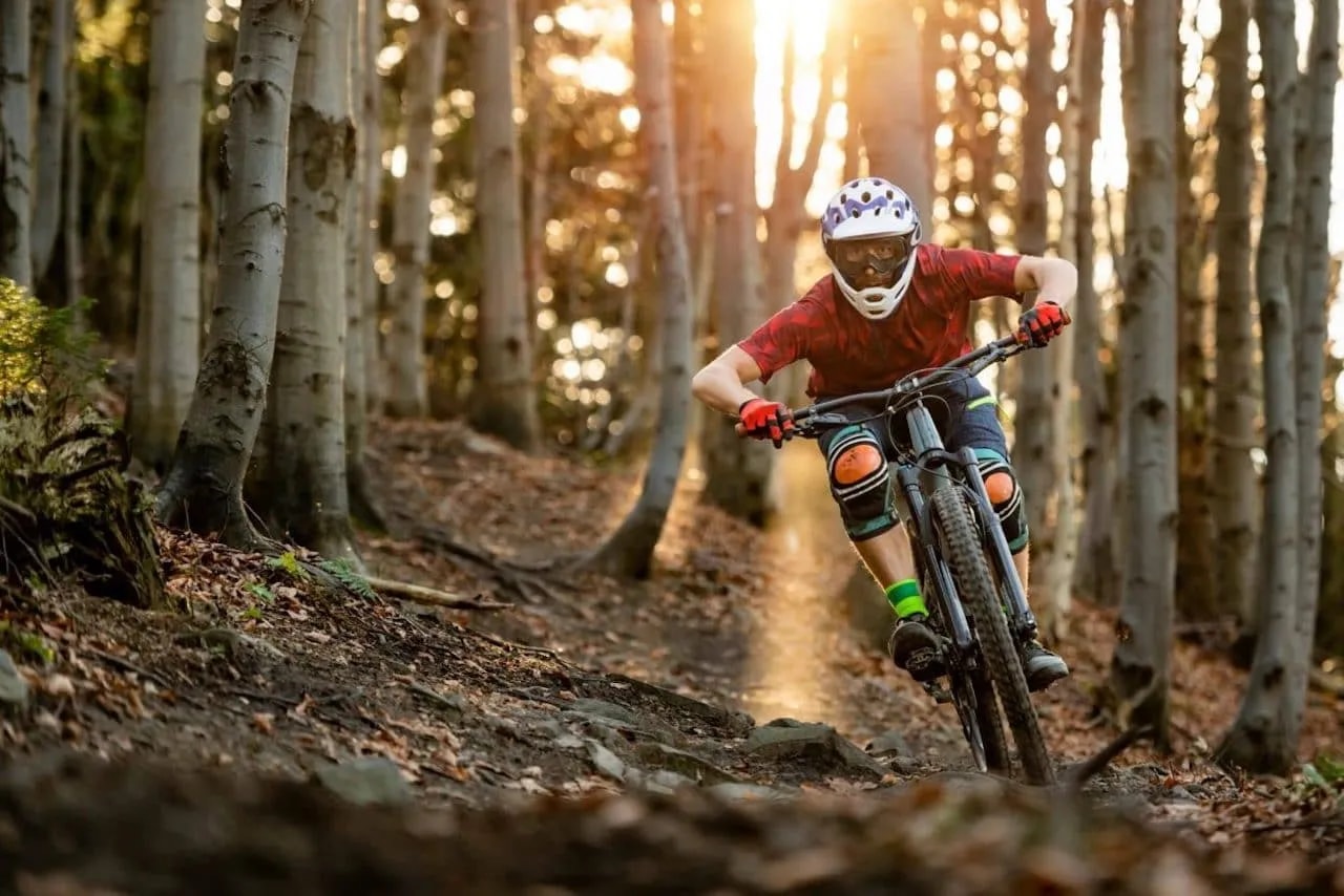 Enjoying the downhill in the forest