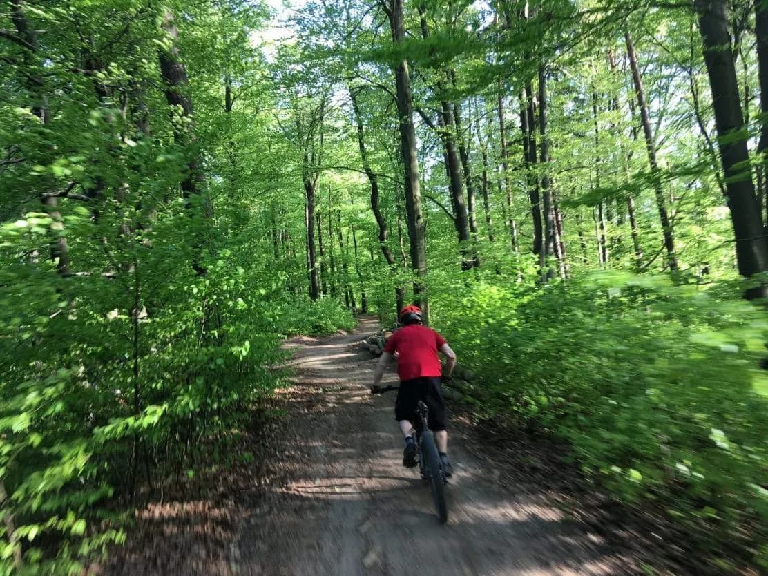 Mountain biking on Golovec