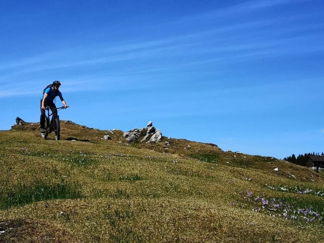 Biking on the fields of Velika Planina