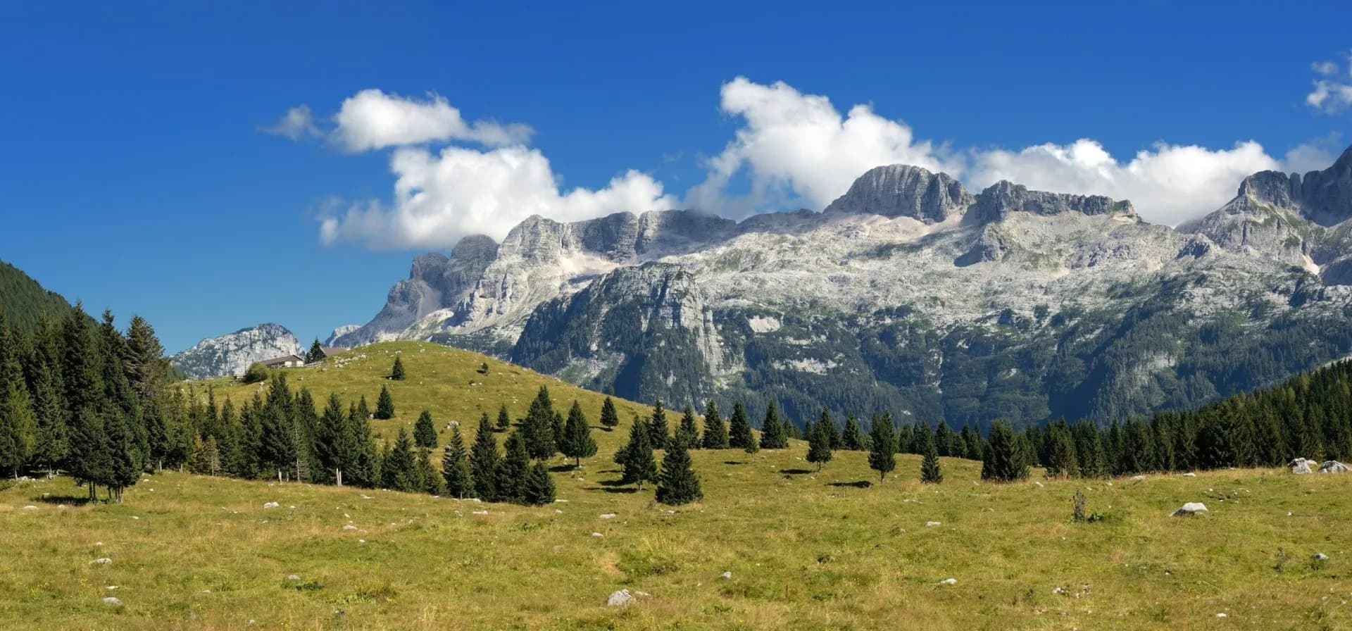 il montasio sella nevea ud italia stockpack adobe stock scaled