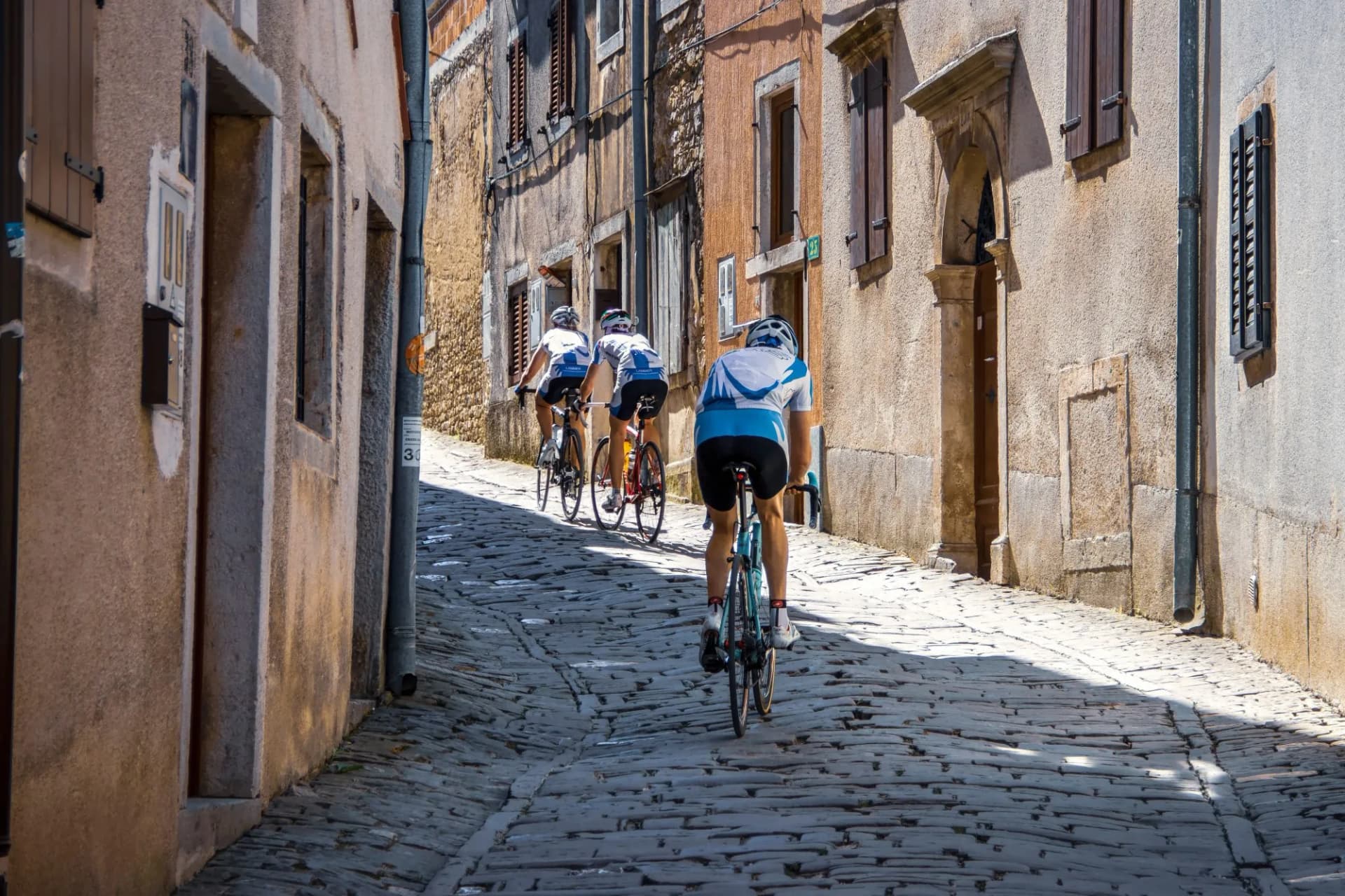 motovun cyclists