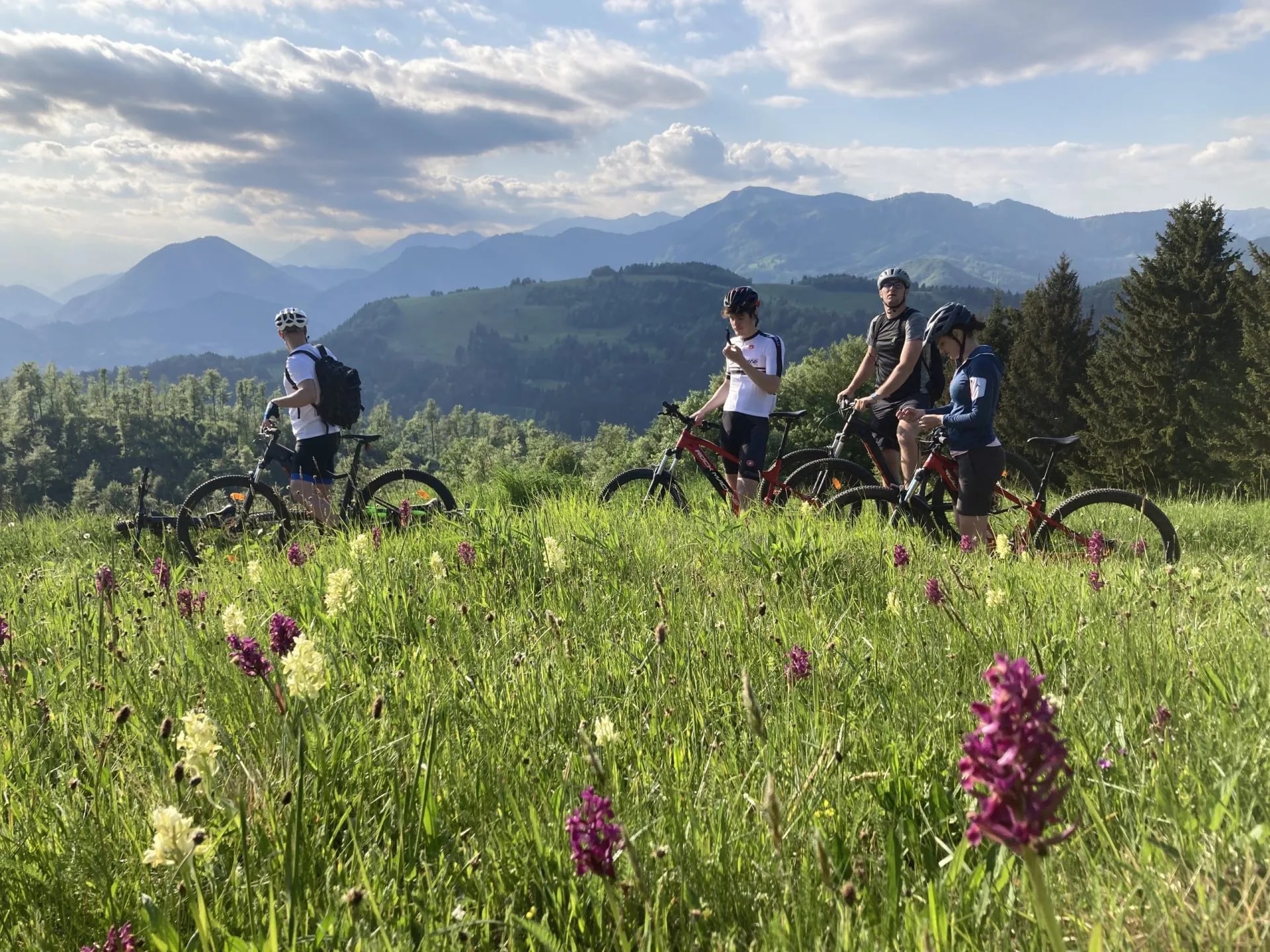 Mountain bikers pause in a flowery green field overlooking rolling hills of Škofja Loka, Slovenia.