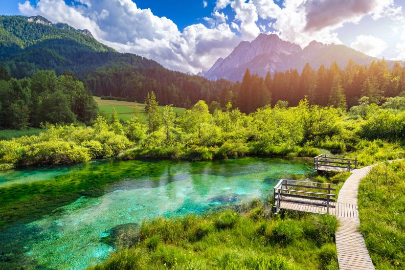 Zelenci Nature Reserve image 1