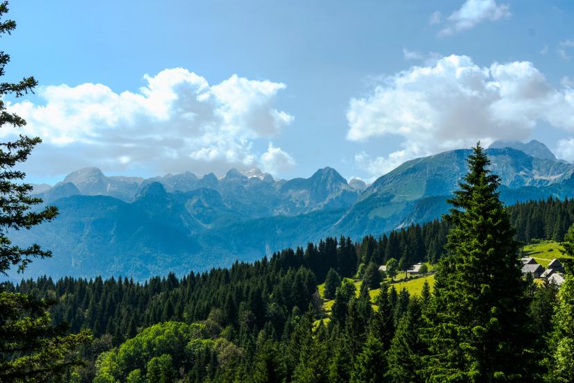 Pokljuka Plateau image 1