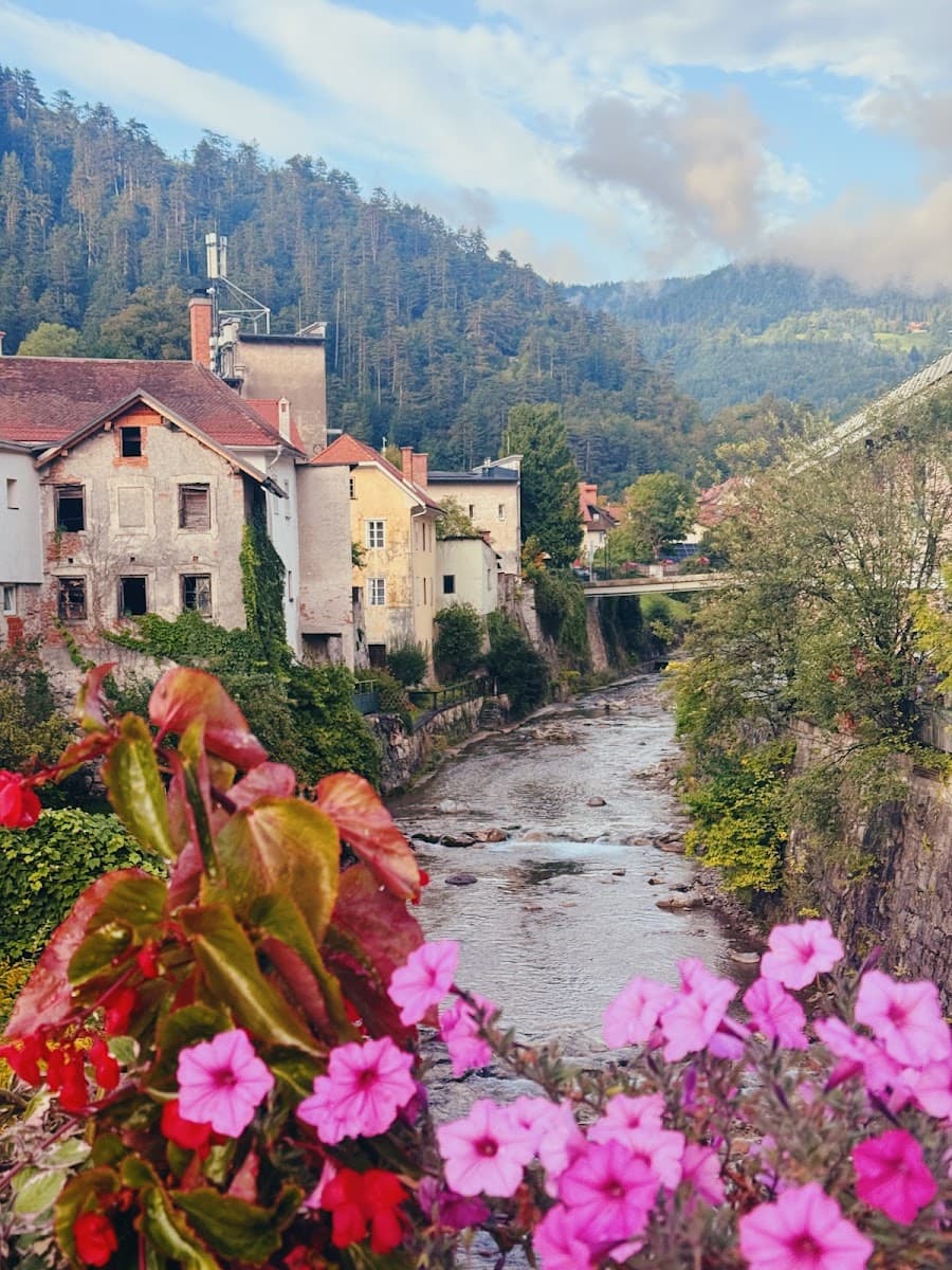 River flowing through a European town with historic buildings and forested mountains in the background.