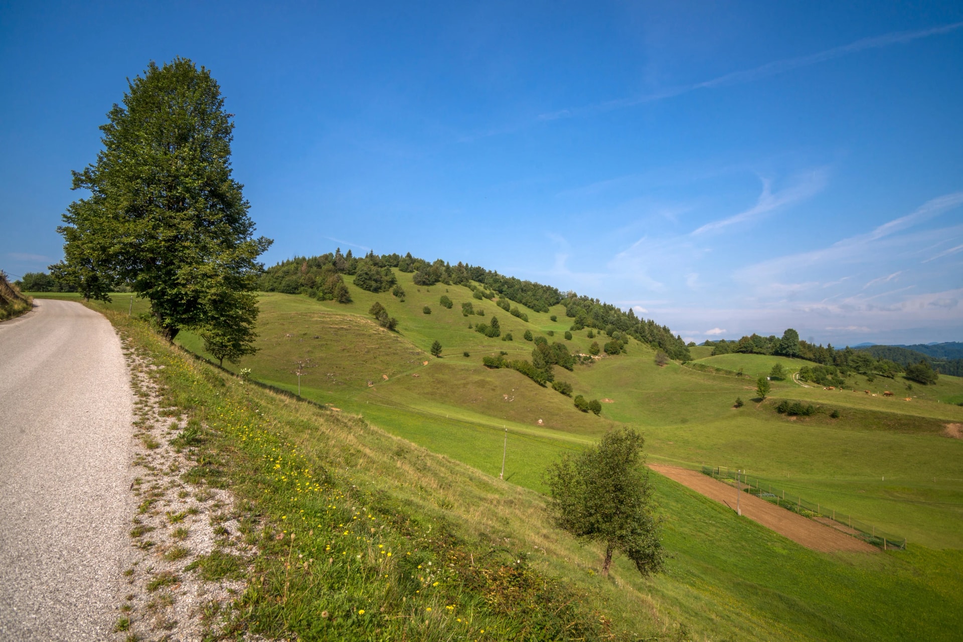 Beautiful Slovenia – Municipality of Horjul – near Ljubljana