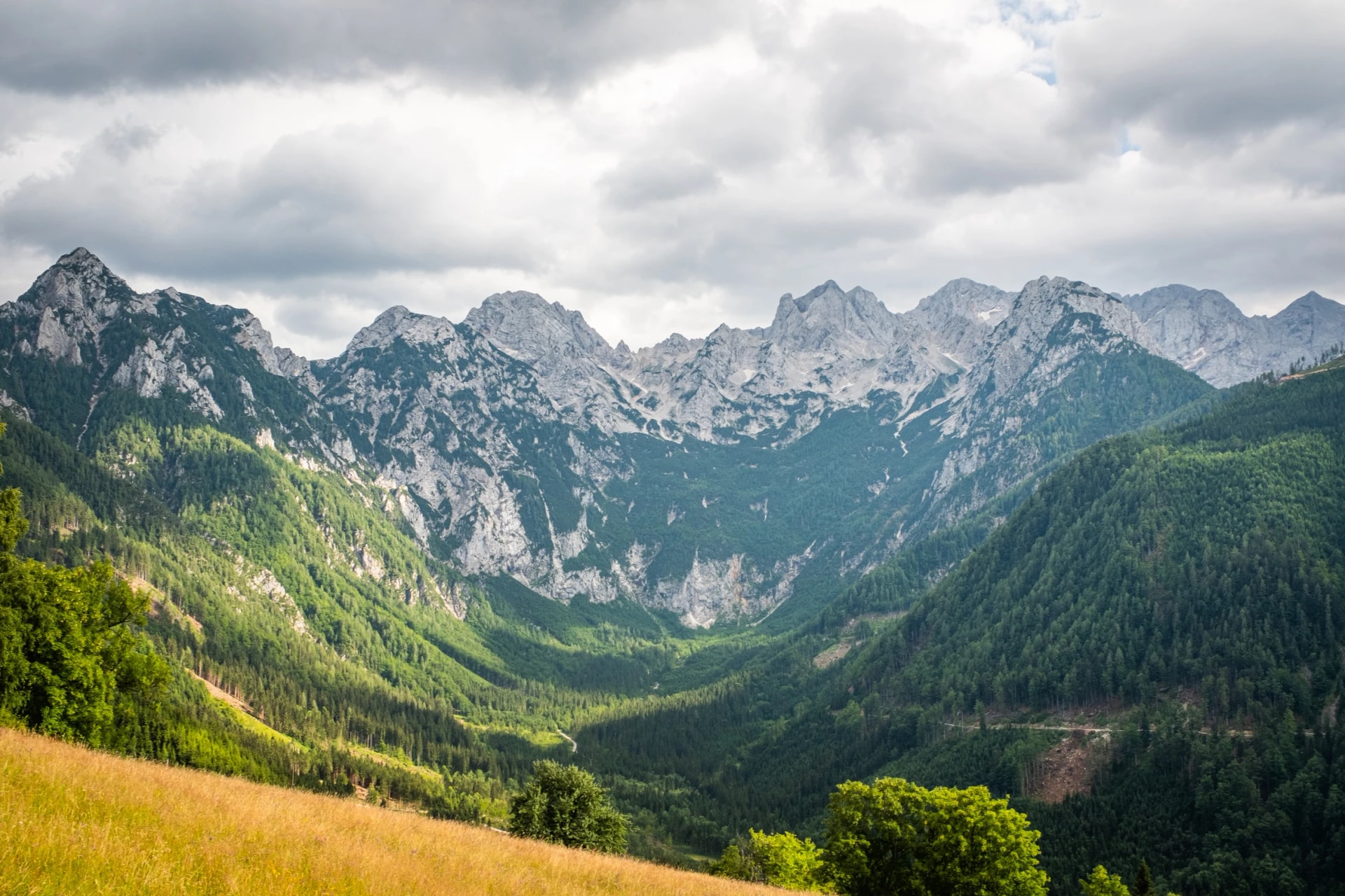 View from Pavlič Pass