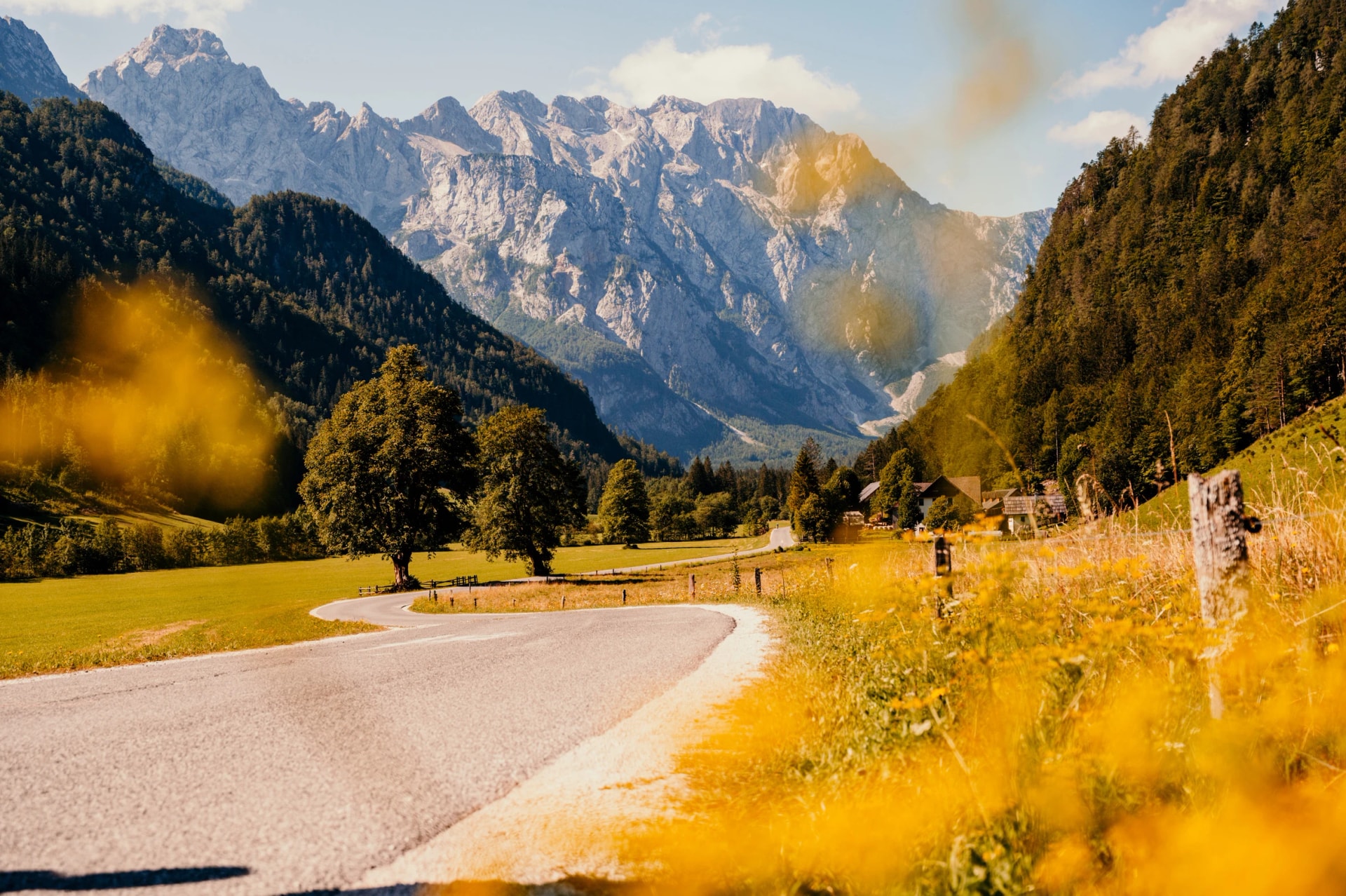 Beautiful summer alpine landscape. Logar valley or Logarska dolina