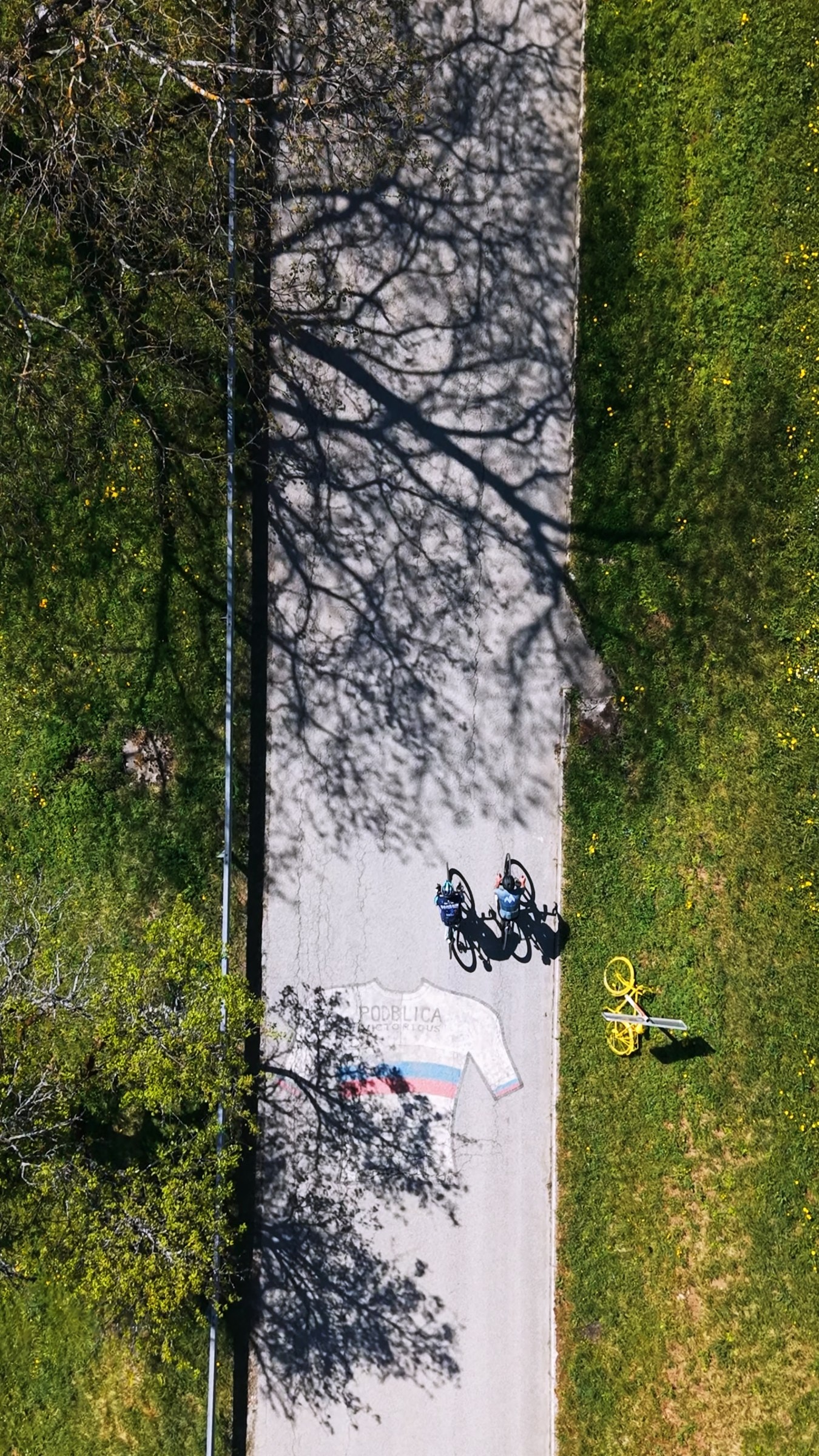 Cyclists riding on a road with a painted Slovenian champion jersey and tree shadows from an aerial view.