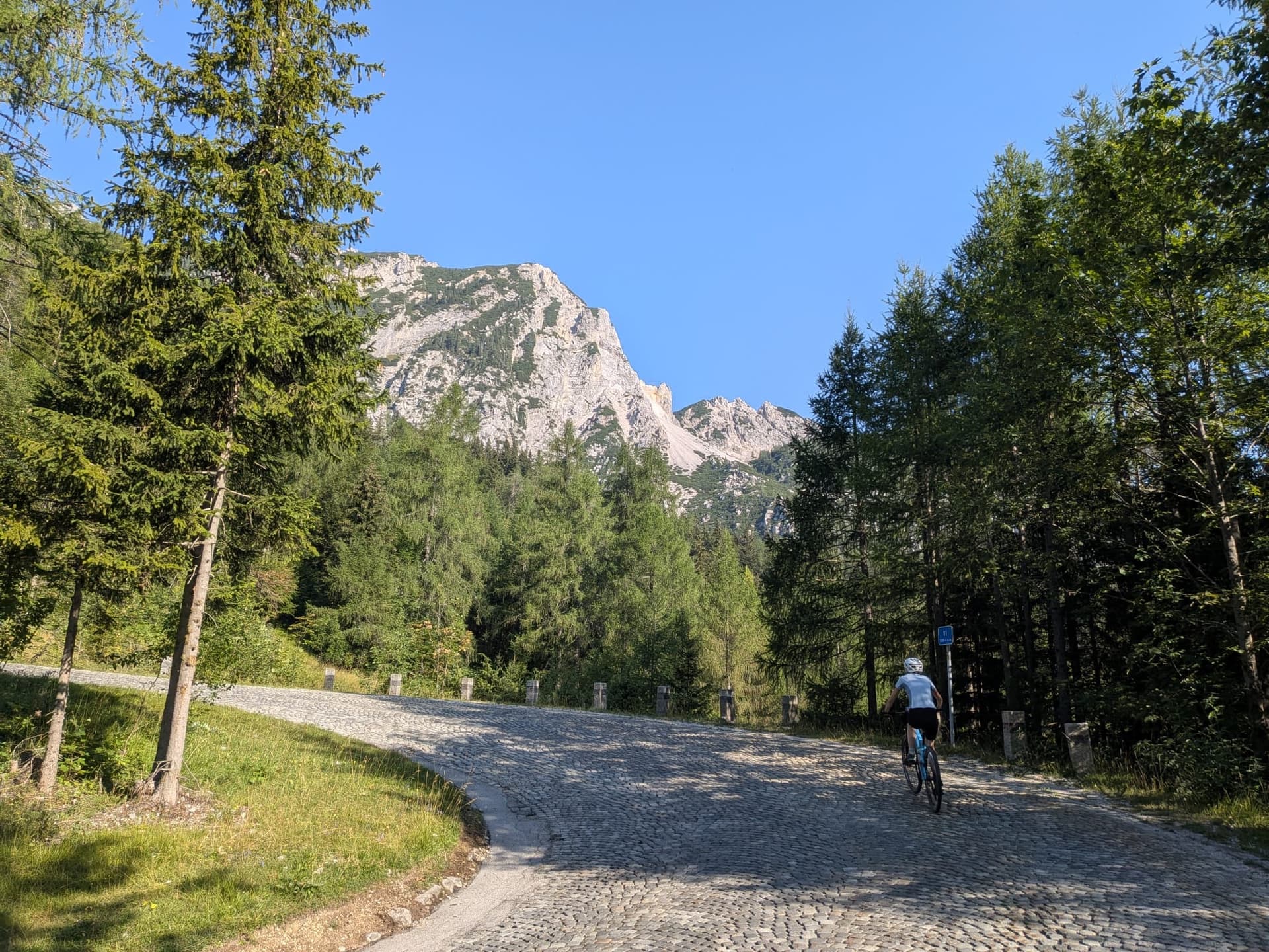 Cyclist riding on cobbled mountain road through pine forest with rocky peaks
