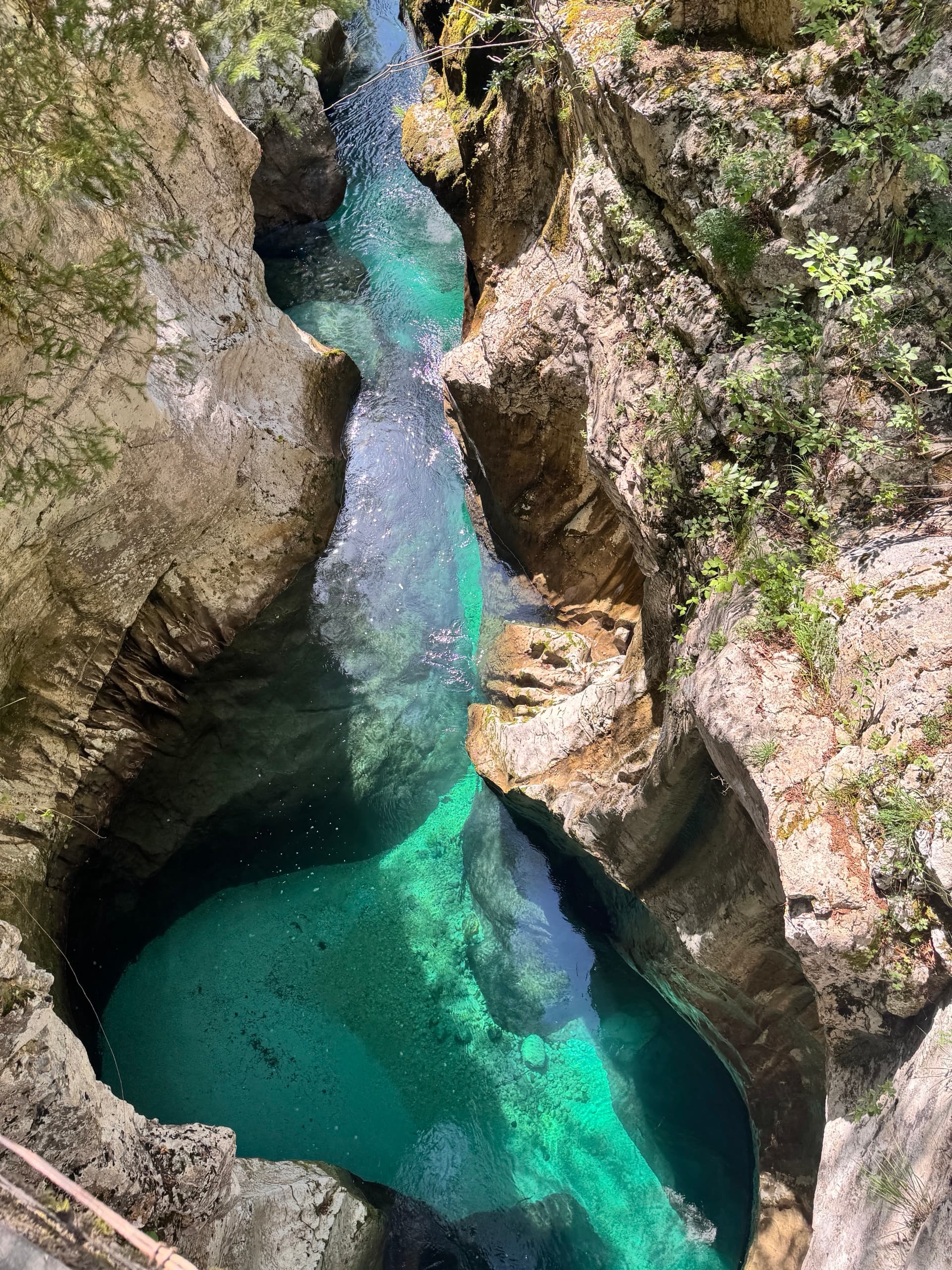 Soča Gorge with turquoise water flowing between rocky canyon walls