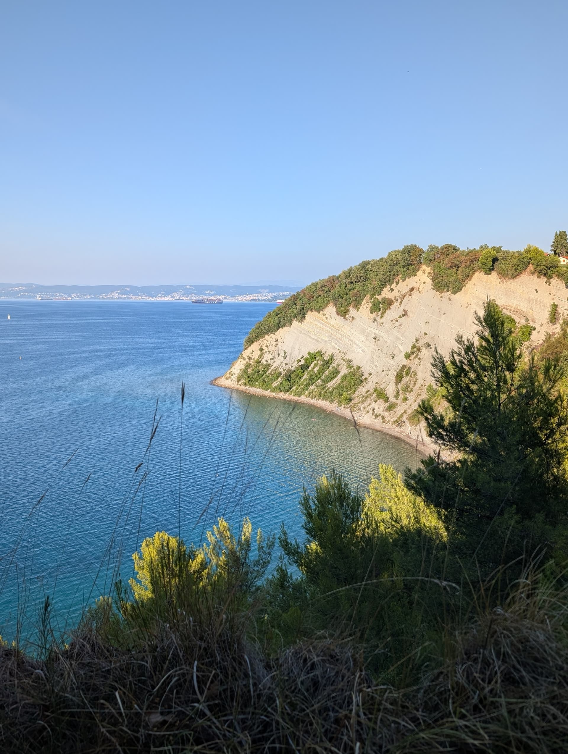 Strunjan cliff above the Adriatic Sea with forested coastline and blue water