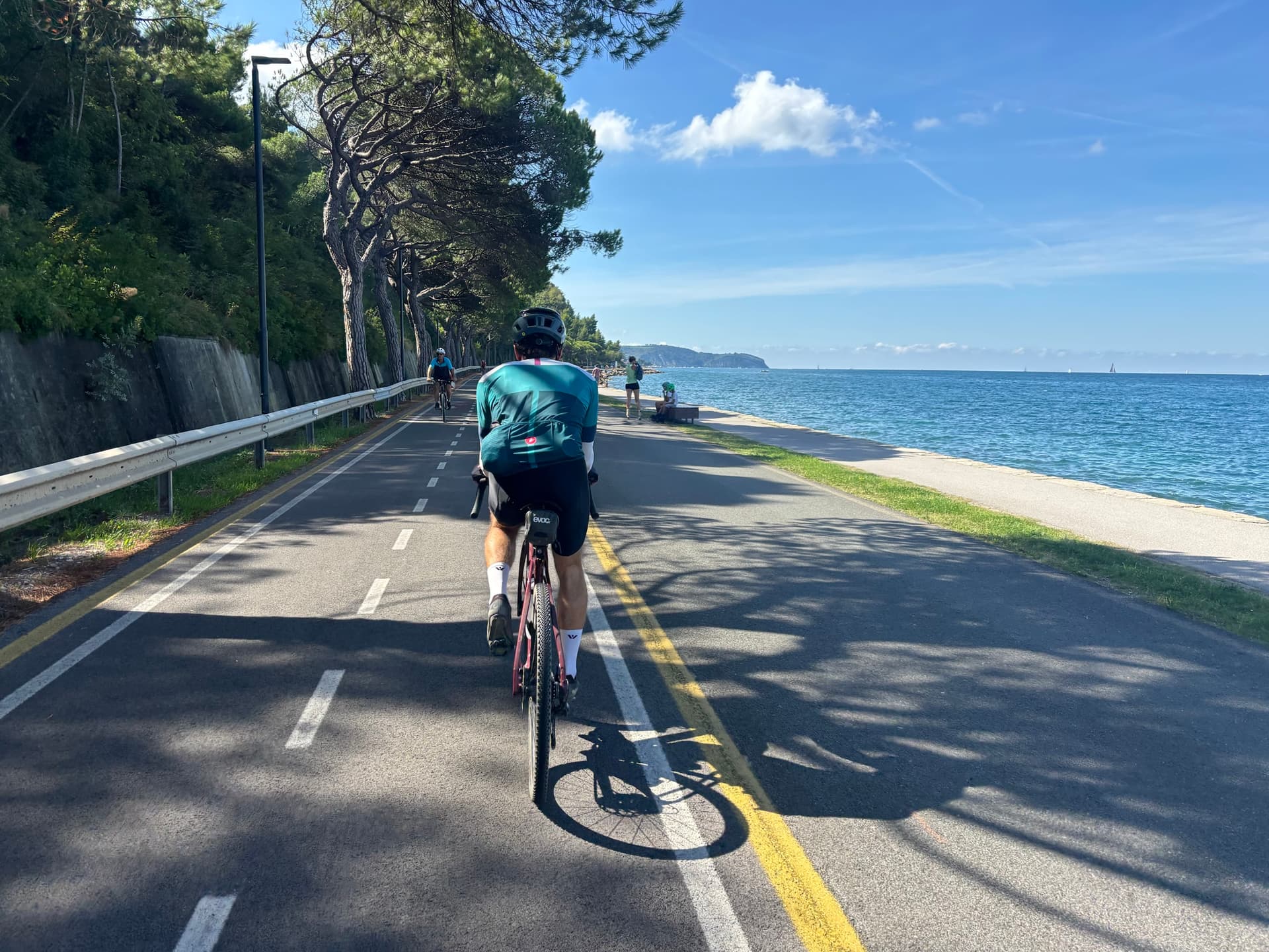 Cyclist riding on a paved coastal road lined with pine trees next to the sea