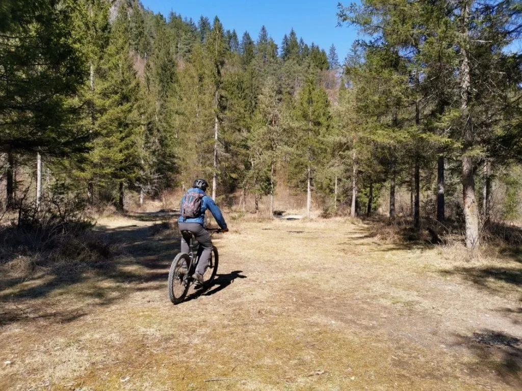 Cykling i skogen