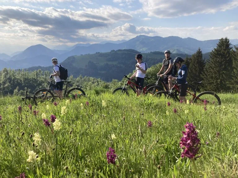 endeløs udsigt og grønne marker i škofja loka-bakkerne