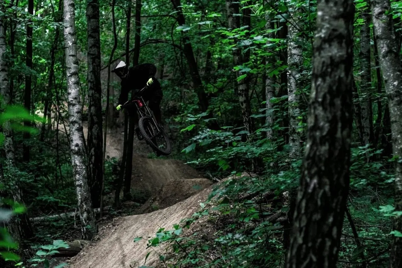 Forest MTB trails