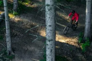 Gömma sig från solen på skogliga stigar i Kočevje