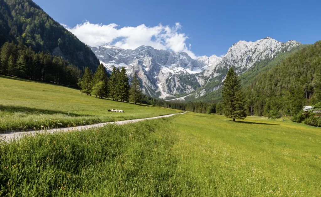 Jezersko landskap, dal