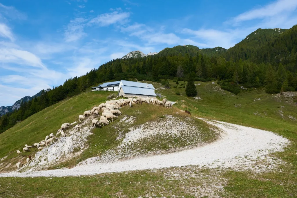 Sella di Somdogna Pass