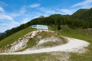 Conquer the Sella di Somdogna Pass