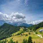 Solcava Panoramic Road in Summer