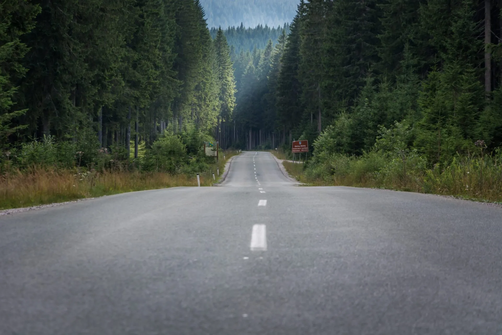lige tom lang asfalt landevej mellem gran skov træer fantastisk skovlandskab pokljuka plateau slovenien i sommersæsonen lav vinkel langt skud stockpack adobe stock skaleret