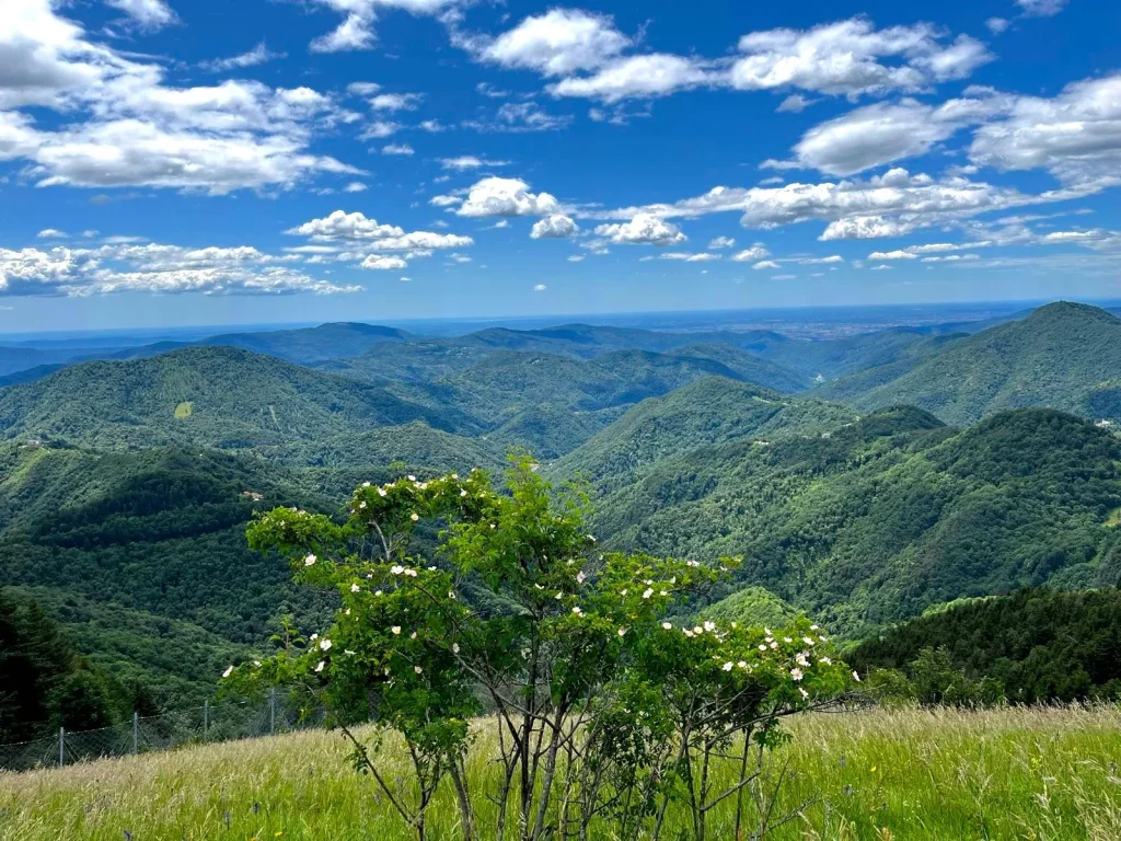 view to italy from brda to kobarid