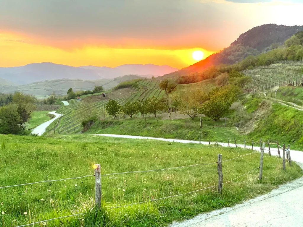 vipava valley road