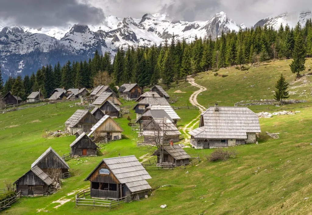 Erkunden Sie die Alm von Zajamniki